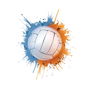 Volleyball icon